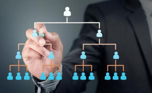 Organizational Chart